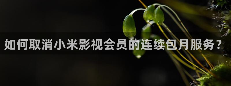 光棍影院yy11111con