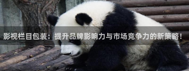 光棍影院在线免费播放